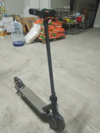Monopattino Elettrico