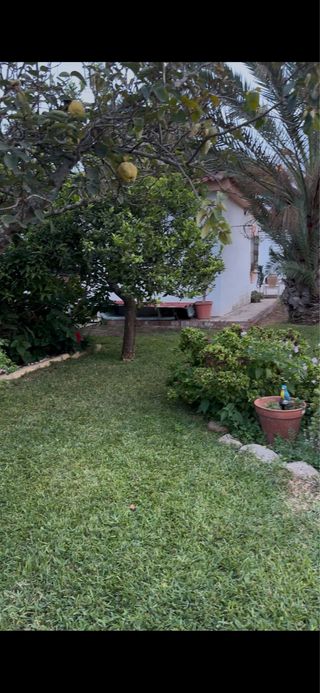 Jardinero en Chiclana | Mantenimiento de jardines