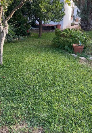 Jardinero en Chiclana de la Frontera
