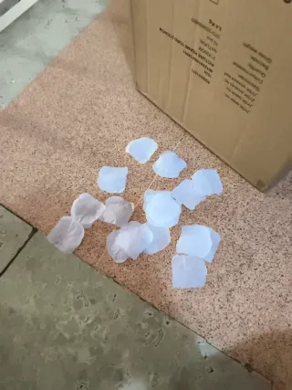 5000 pétalos blancos para decoración