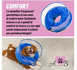 Collare Elisabettiano Gonfiabile Cane
