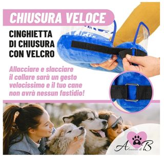 Collare Elisabettiano Gonfiabile Cane