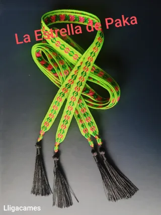 Lligacames Indumentaria Valenciana Fallas