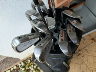 Bolsa y Palos de Golf