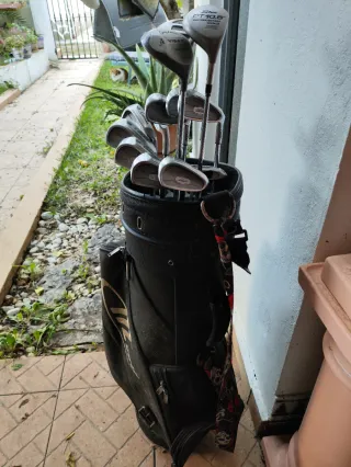 Bolsa y Palos de Golf