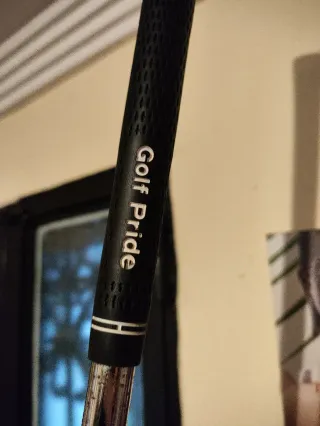 Bolsa y Palos de Golf