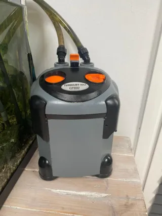 Pecera 100L con filtro y acesorios