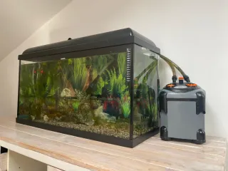 Pecera 100L con filtro y acesorios