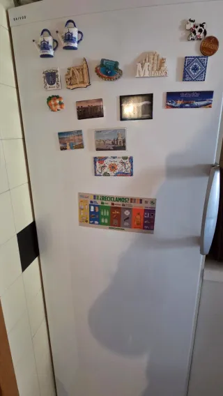 Nevera Saivod (Solo Frigorífico) - Gran Capacidad