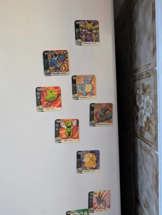 Imanes Pokémon 3ª Generación + Caja Coleccion