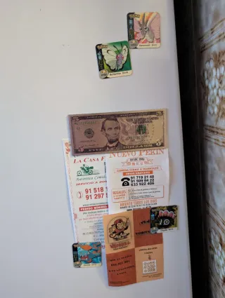 Imanes Pokémon 3ª Generación + Caja Coleccion