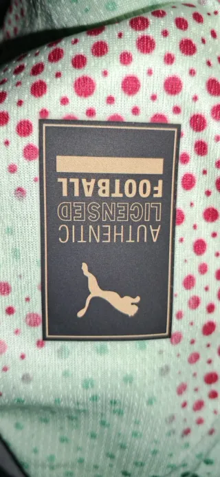 Camiseta Puma Portugal Verde y Roja