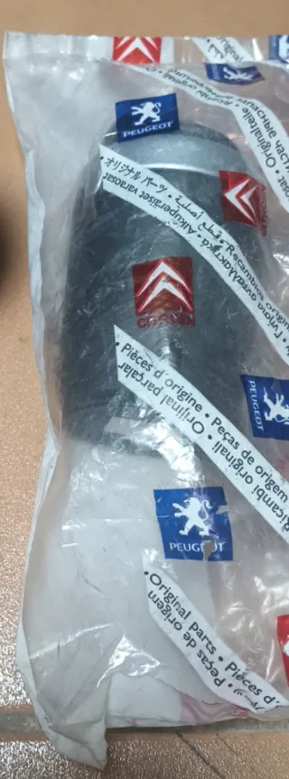 Guardaojetos Citroën C4