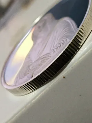 Plata Leonardo da Vinci 2 Onzas