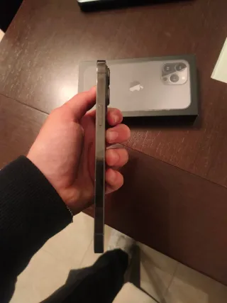 iPhone 13 Pro Max Gris