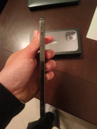 iPhone 13 Pro Max Gris