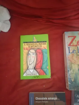 El asesinato del profesor de matemáticas (El du...