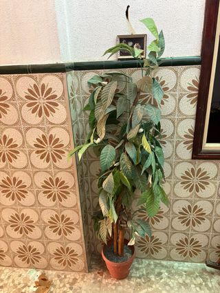 Planta Artificial Decorativa 175 cm