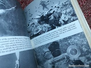 La Guía de Viaje del Buzo - Gene Tinker