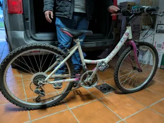 Bicicleta infantil niña