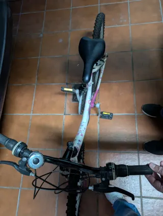 Bicicleta infantil niña