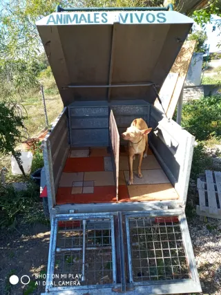 Remolque con separador