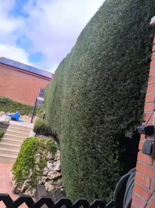 Mantenimiento de jardinería y piscina