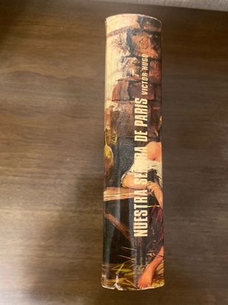 Nuestra señora de Paris