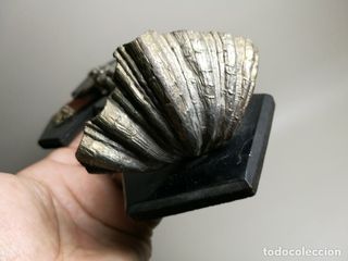 Benditera Siglo XIX Madera Ebonizada Isabelina