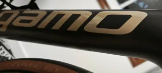 Cuadro Megamo Raise 2025