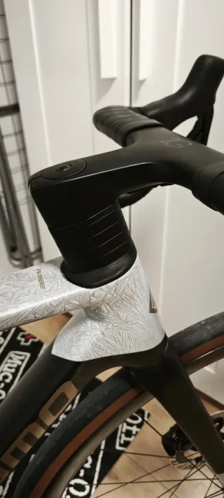 Cuadro Megamo Raise 2025