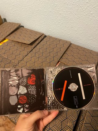 CD Blurryface Twenty One Pilots
