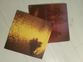 Disco Bee Gees Spirits Having Flown