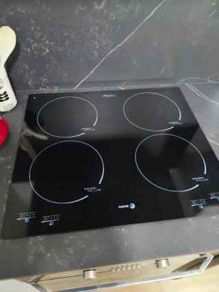 Horno y Placa Inducción