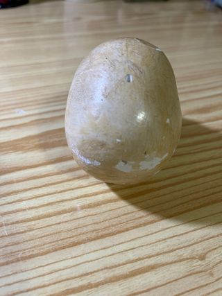 Calavera de escayola decorativa