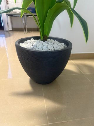 Planta Artificial Decorativa