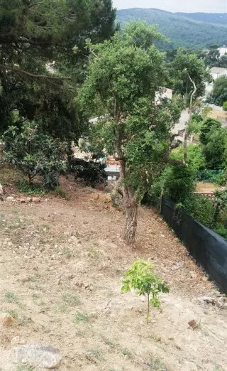 Terreno edificable en venta