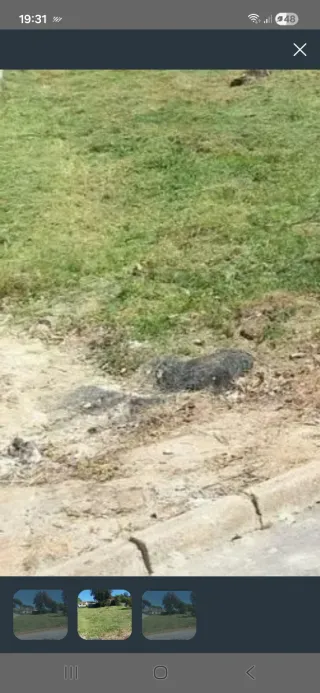 Terreno rústico cerca de Moncada, Valencia