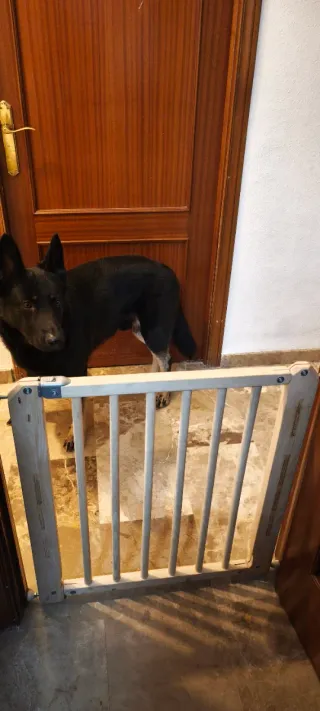 Puerta extensible madera 70-76cm