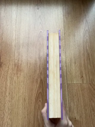 Libro- El diario de Nikki 8