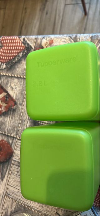 2 Contenitori Multiuso Verdi