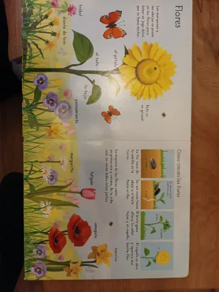 Mi primer libro sobre la naturaleza