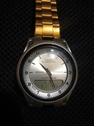 Reloj Casio Hombre Dorado y Plateado