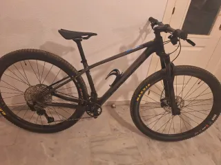 Bicicleta de montaña carbono