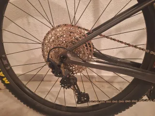 Bicicleta de montaña carbono