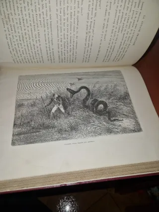 Libro Antiguo de la Guayana francesa.