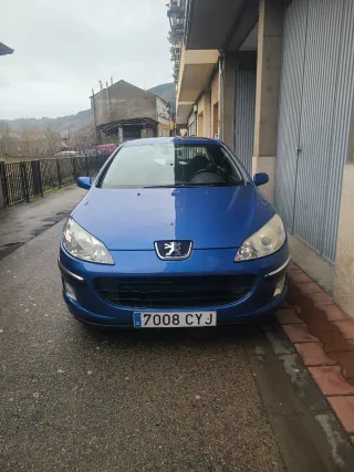 Peugeot 407 2004