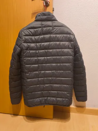 Cazadora Springfield gris verdoso talla S.