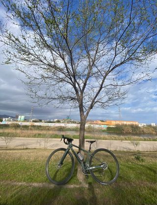 Bici Gravel Specialized Diverge Talla 49