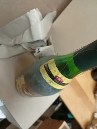 Botella Faustino 1 Gran Reserva 1987